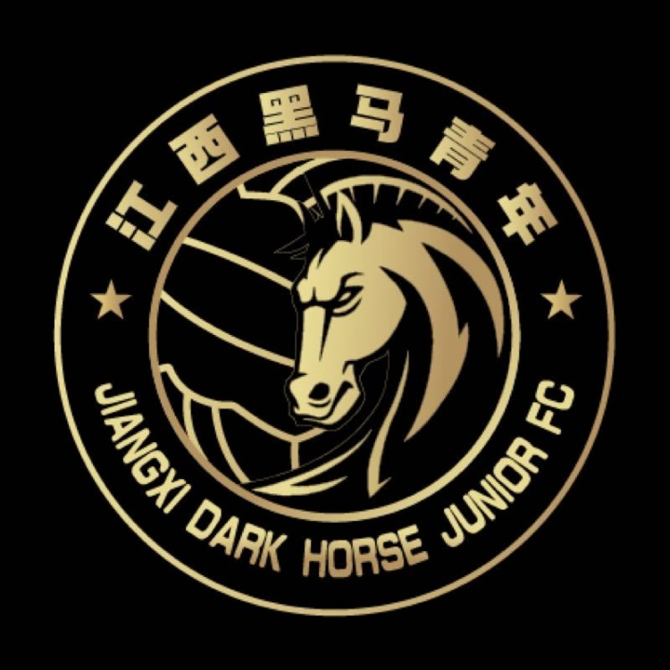  官方：江西黑馬青年完成異地遷移程序，更名為溫州職業(yè)足球俱樂(lè )部